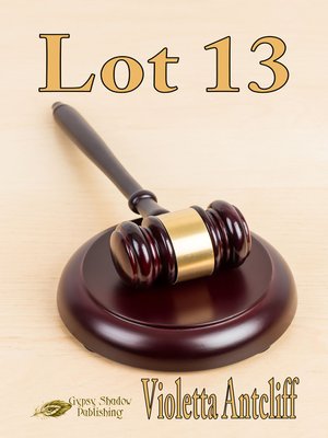 cover image of Lot 13